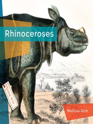 cover image of Rhinoceroses